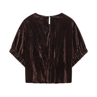Cora | Velvet Puff Sleeve Top Brown Short Sleeve